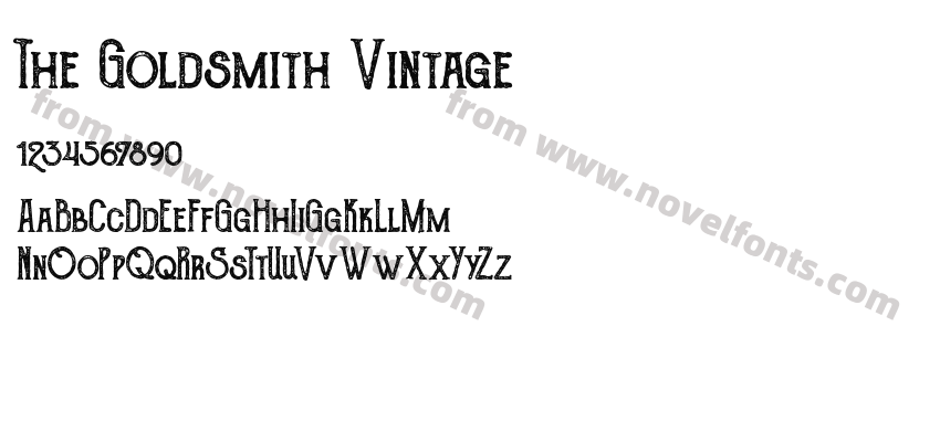 The Goldsmith VintagePreview