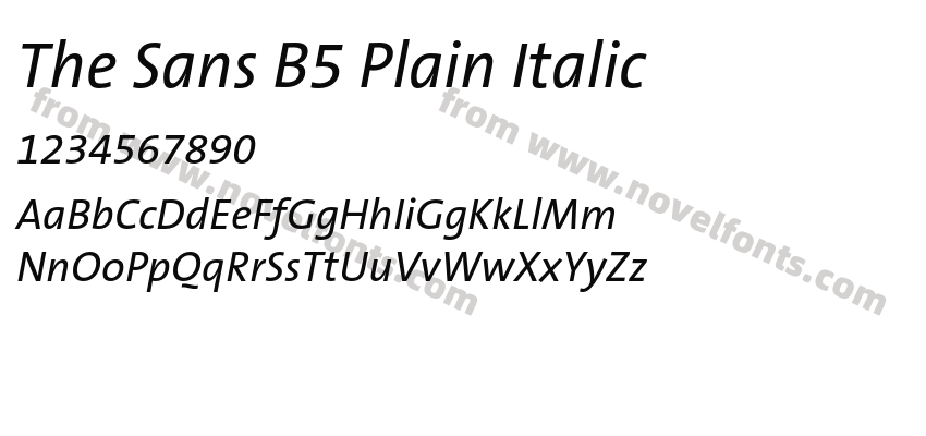 The Sans B5 Plain ItalicPreview