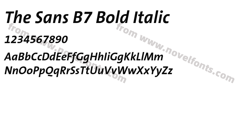 The Sans B7 Bold ItalicPreview