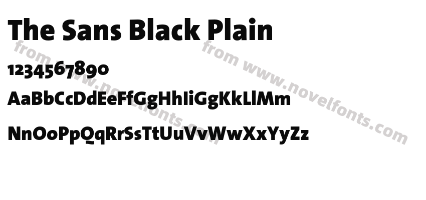 The Sans Black PlainPreview