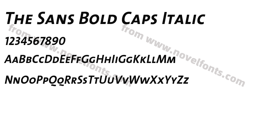 The Sans Bold Caps ItalicPreview