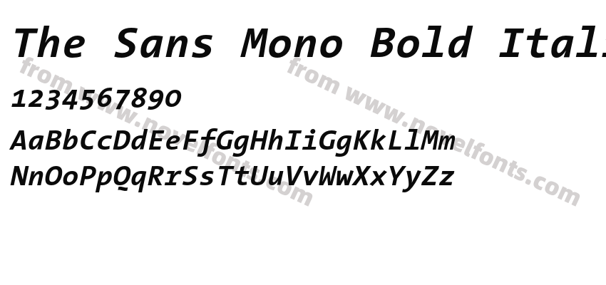 The Sans Mono Bold ItalicPreview