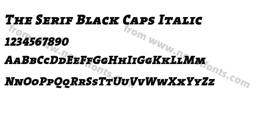 The Serif Black Caps ItalicPreview