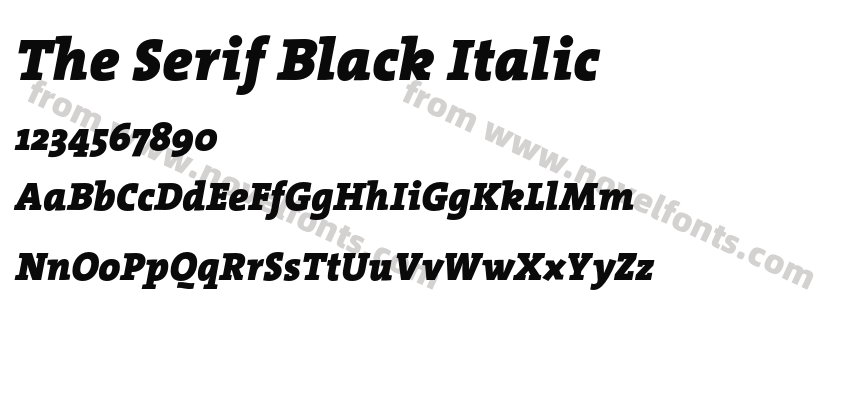 The Serif Black ItalicPreview