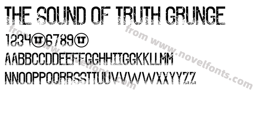 The Sound of Truth GrungePreview