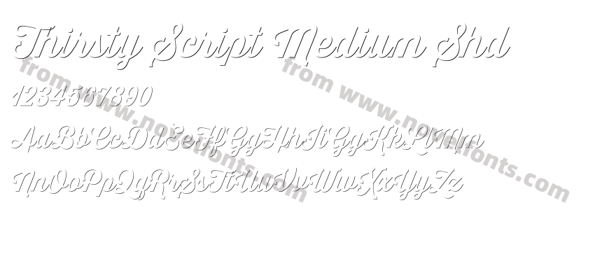 Thirsty Script Medium ShdPreview