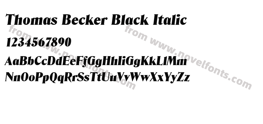 Thomas Becker Black ItalicPreview