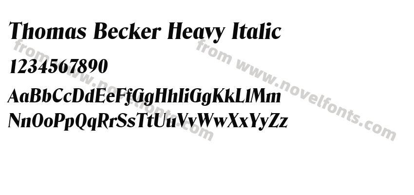 Thomas Becker Heavy ItalicPreview