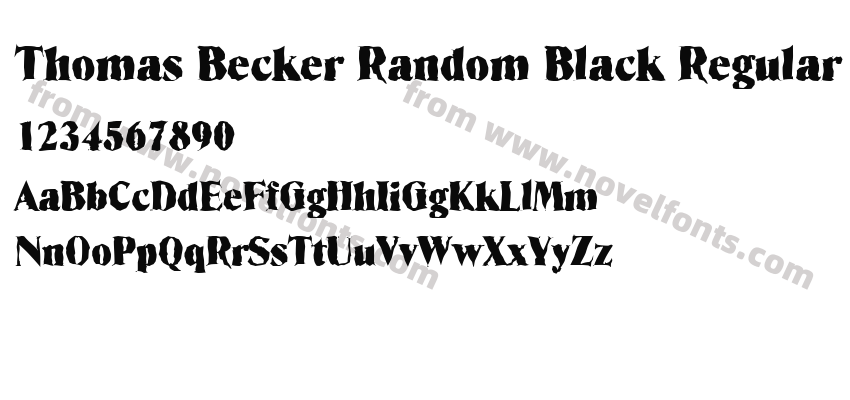 Thomas Becker Random Black RegularPreview