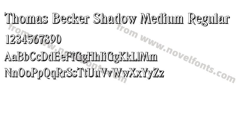 Thomas Becker Shadow Medium RegularPreview