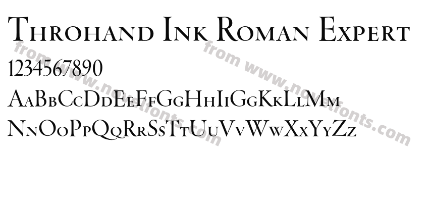 Throhand Ink Roman ExpertPreview