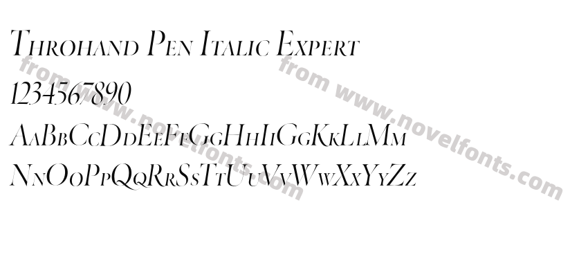 Throhand Pen Italic ExpertPreview