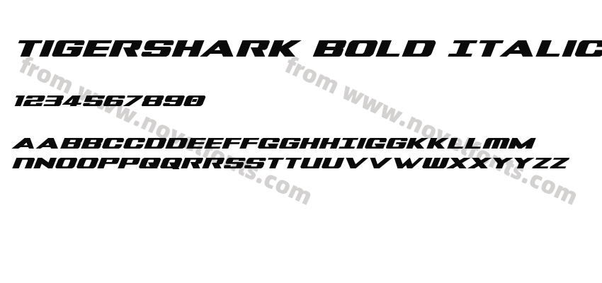 Tigershark Bold ItalicPreview