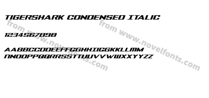 Tigershark Condensed ItalicPreview