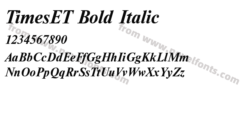 TimesET Bold ItalicPreview