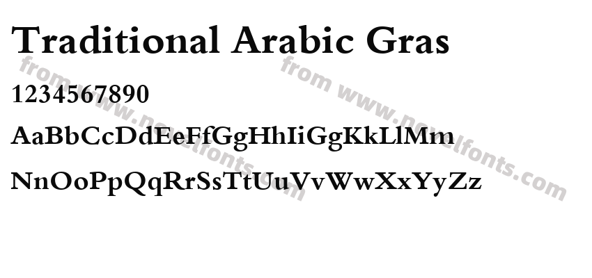 Traditional Arabic GrasPreview