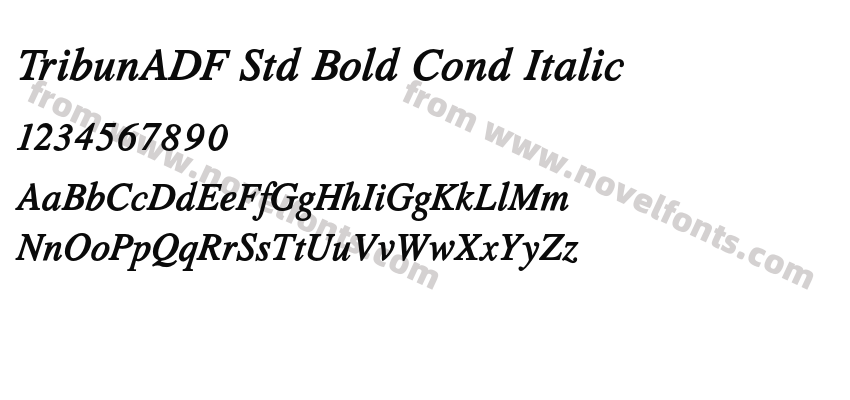 TribunADF Std Bold Cond ItalicPreview