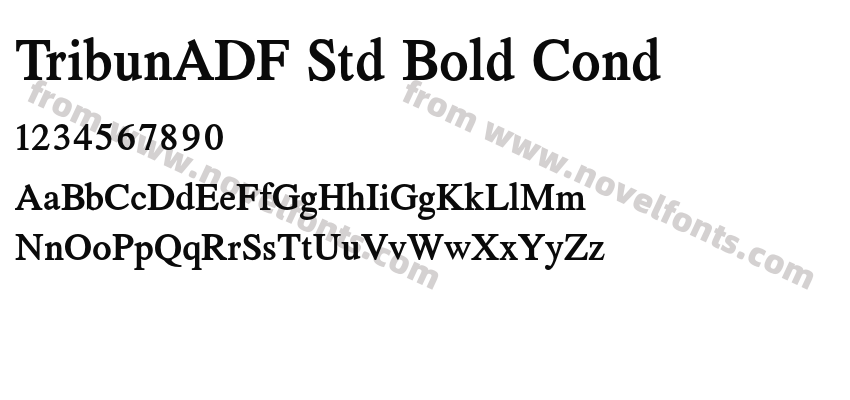 TribunADF Std Bold CondPreview