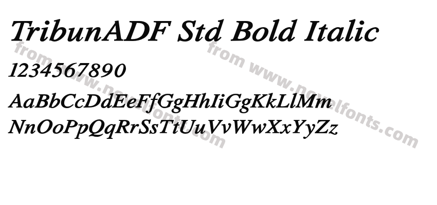 TribunADF Std Bold ItalicPreview