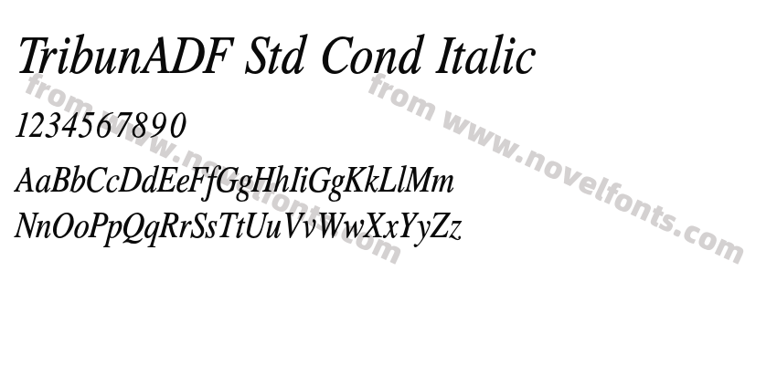 TribunADF Std Cond ItalicPreview