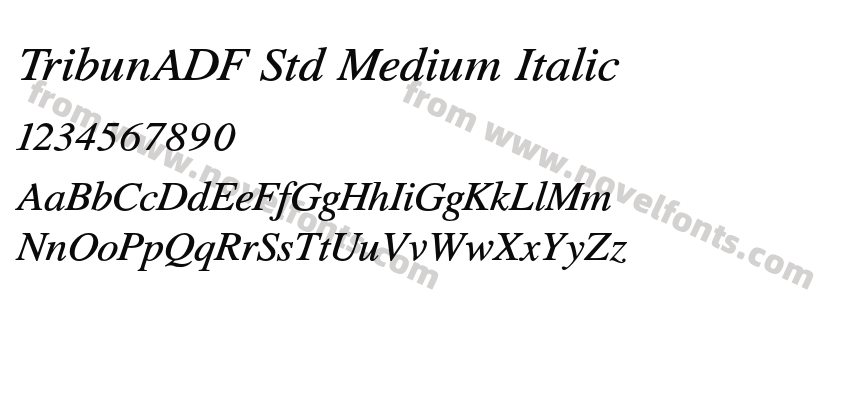 TribunADF Std Medium ItalicPreview