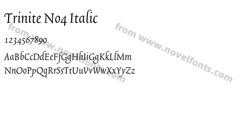 Trinite No4 ItalicPreview