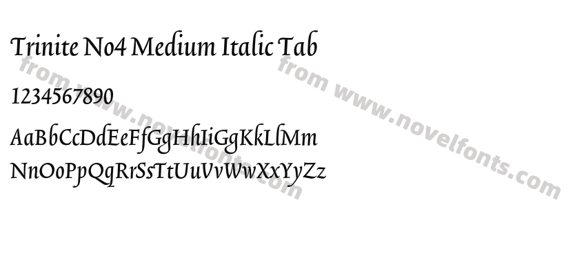 Trinite No4 Medium Italic TabPreview