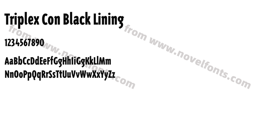 Triplex Con Black LiningPreview