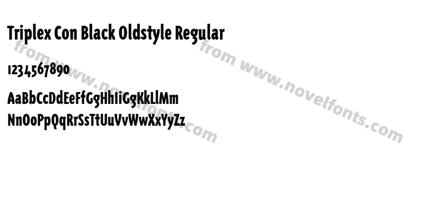 Triplex Con Black Oldstyle RegularPreview