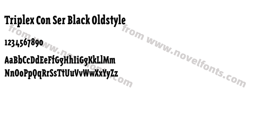 Triplex Con Ser Black OldstylePreview