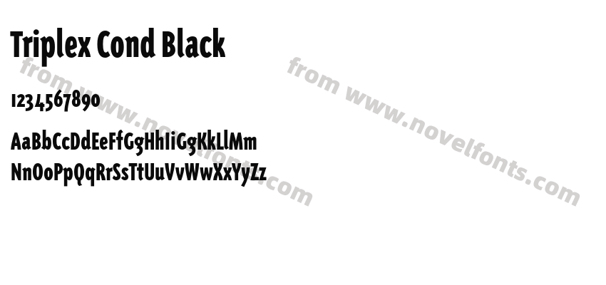 TriplexCondBlackPreview