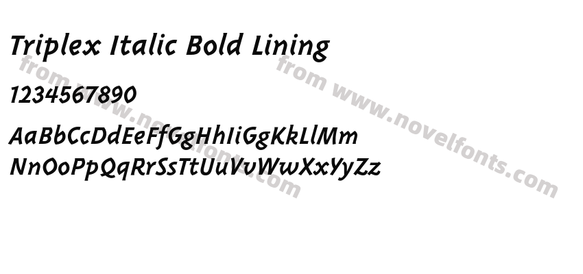 Triplex Italic Bold LiningPreview