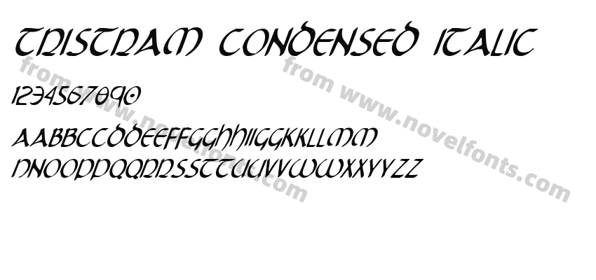 Tristram Condensed ItalicPreview