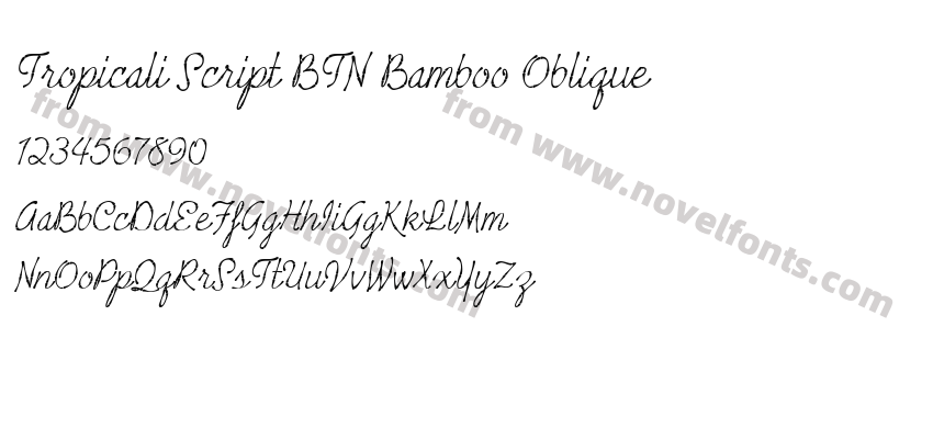 Tropicali Script BTN Bamboo ObliquePreview