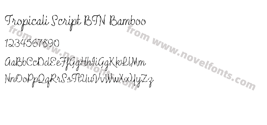 Tropicali Script BTN BambooPreview