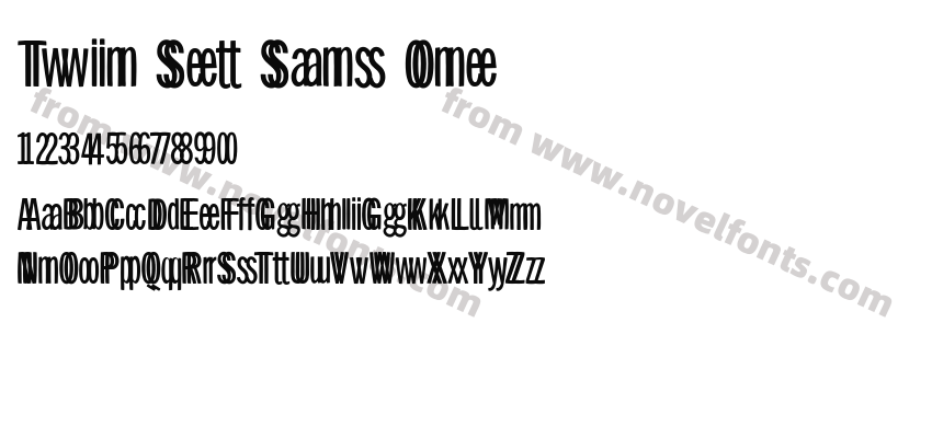 Twin Set Sans OnePreview