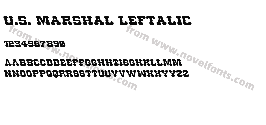 U.S. Marshal LeftalicPreview