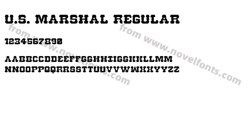 U.S. Marshal RegularPreview