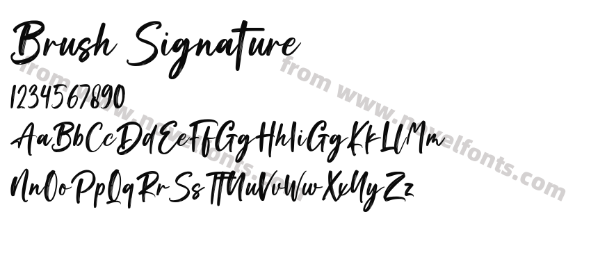 Brush SignaturePreview