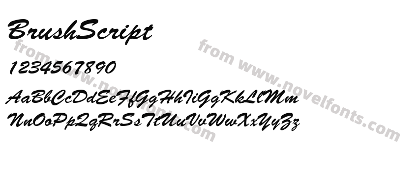 BrushScriptPreview