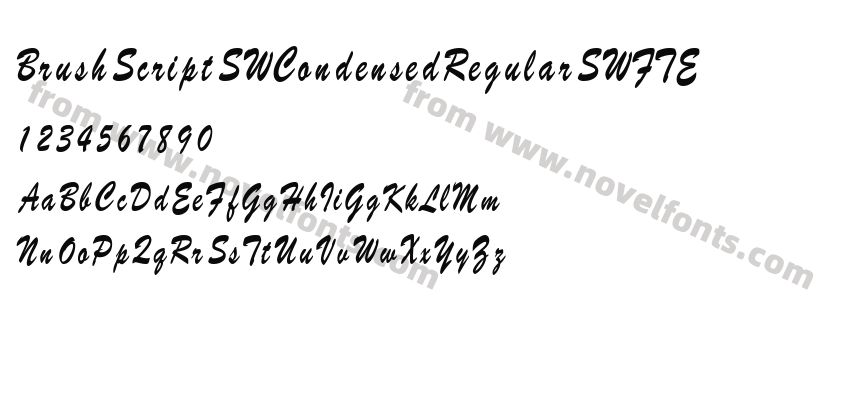 BrushScriptSWCondensedRegularSWFTEPreview