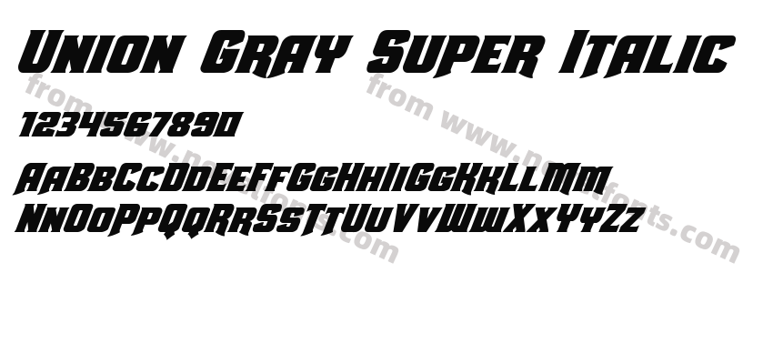 Union Gray Super ItalicPreview