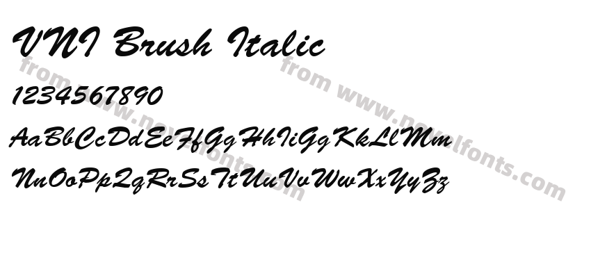 VNI Brush ItalicPreview