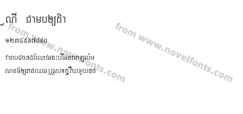 VNI CambodiaPreview