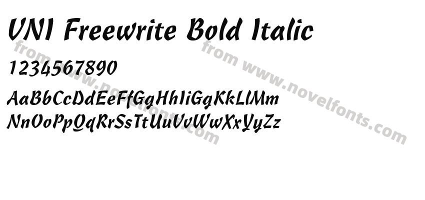 VNI Freewrite Bold ItalicPreview