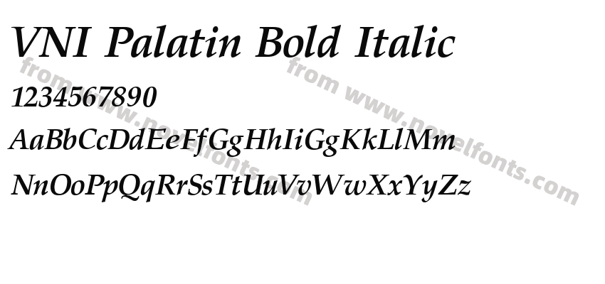 VNI Palatin Bold ItalicPreview