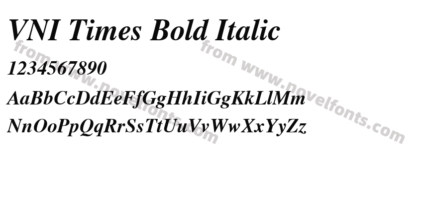 VNI Times Bold ItalicPreview