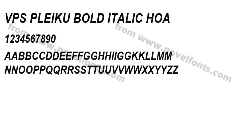 VPS Pleiku Bold Italic HoaPreview