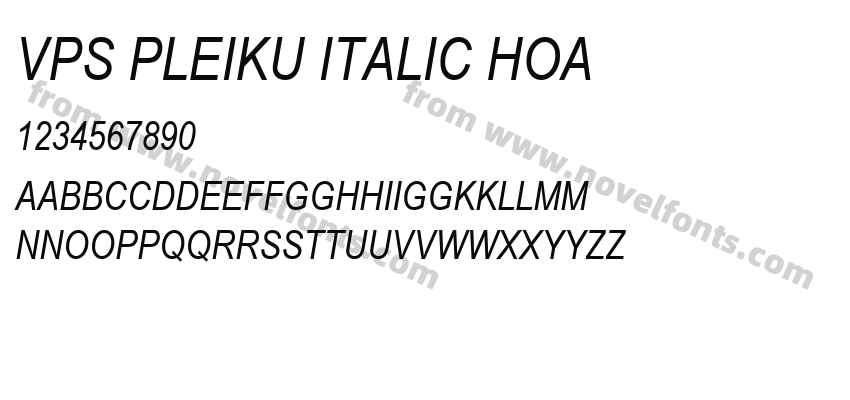 VPS Pleiku Italic HoaPreview