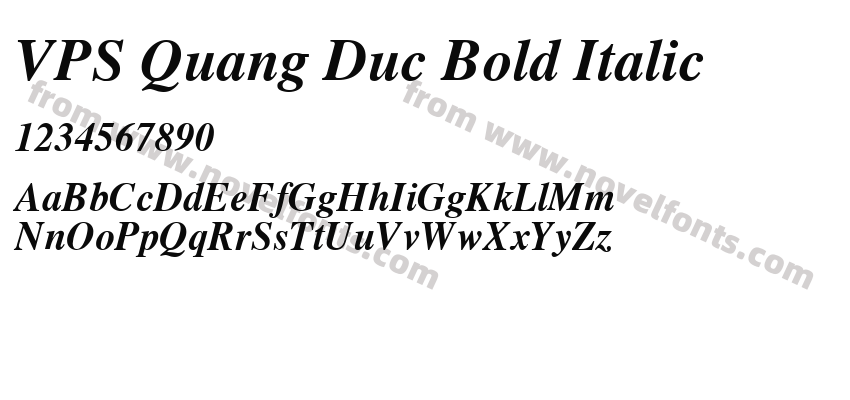 VPS Quang Duc Bold ItalicPreview